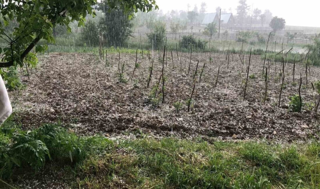Bursa’nın Keles ilçesinde etkili olan dolu yağışı, tarım arazilerinde zarara
