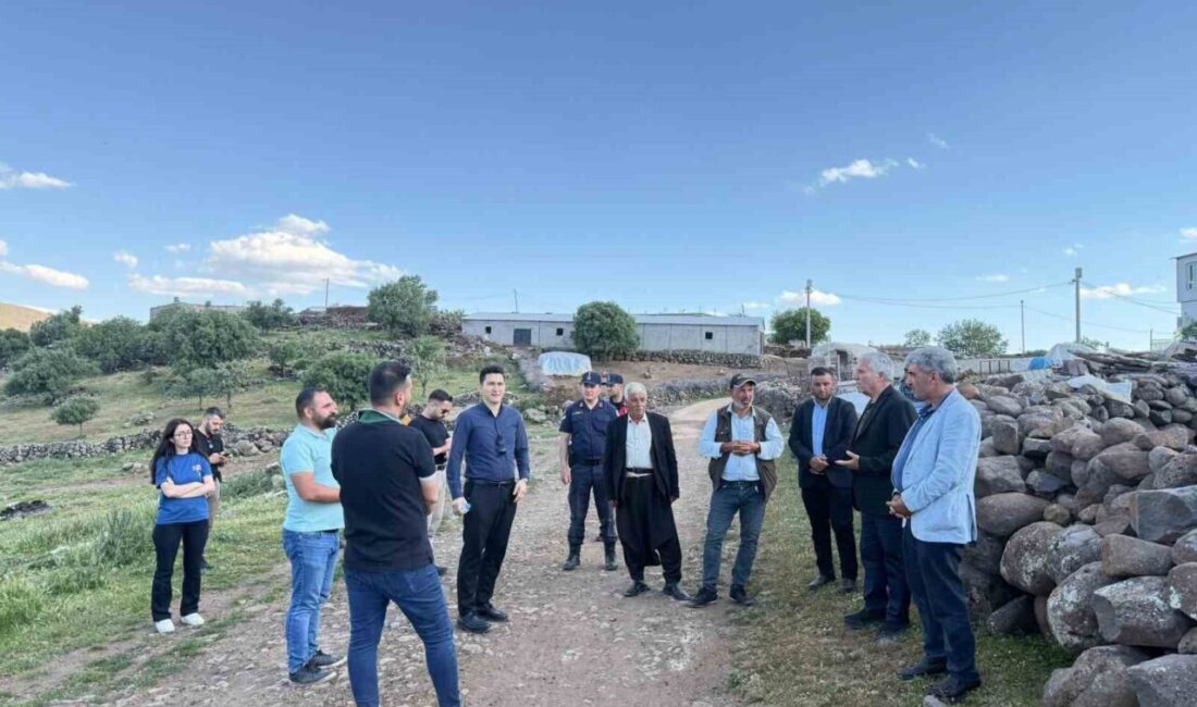 Diyarbakır’ın Çermik ilçesinde kamu yatırımları yerinde denetlendi. Çermik Belediyesi tarafından