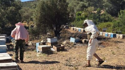 Muğla’nın Datça ilçesinde arıcıların konaklama alanında çıkan yangın, ekiplerin hızlı