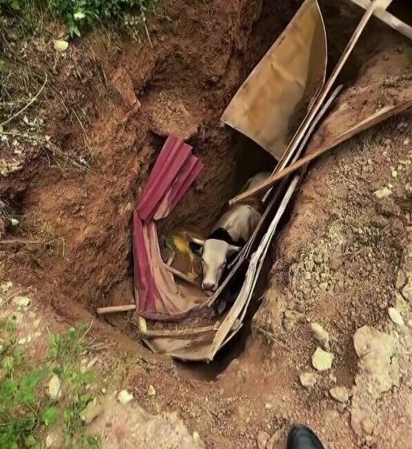 Kocaeli’nin İzmit ilçesinde defineciler tarafından kazıldığı düşünülen 15 metre derinliğindeki