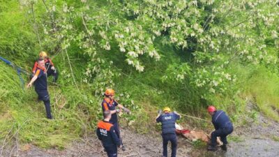 Samsun’un Tekkeköy ilçesinde kayalıklara düşen 3 düve, AFAD ve itfaiye
