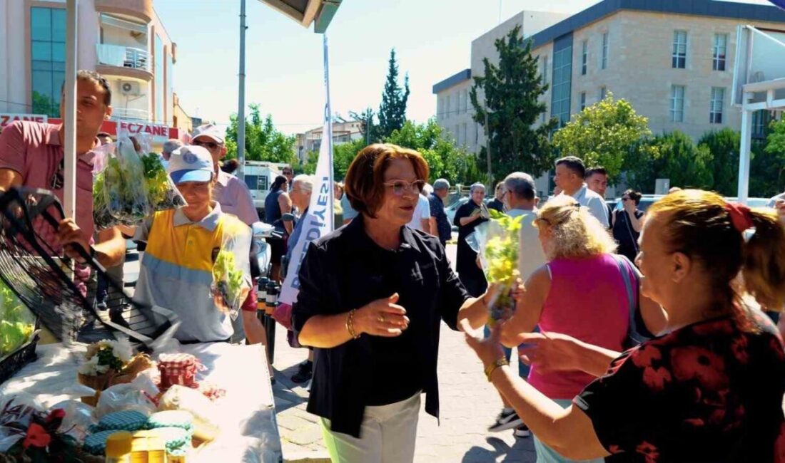 Didim Belediyesi tarafından gerçekleştirilen fide dağıtımında; belediyeye ait seralarda üretilen