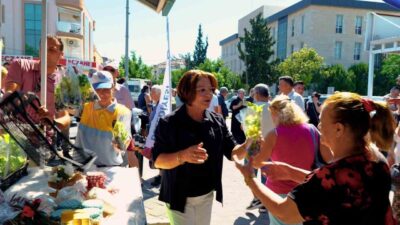 Didim Belediyesi tarafından gerçekleştirilen fide dağıtımında; belediyeye ait seralarda üretilen