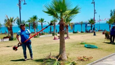 Didim Belediyesi ekipleri tarafından kent genelinde bakım, temizlik ve düzenleme