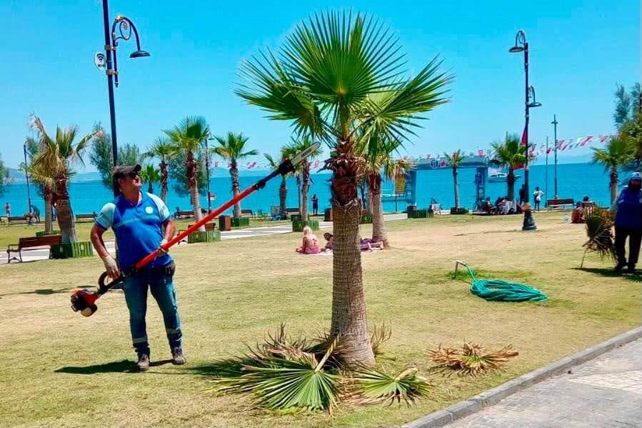 Didim Belediyesi ekipleri tarafından kent genelinde bakım, temizlik ve düzenleme