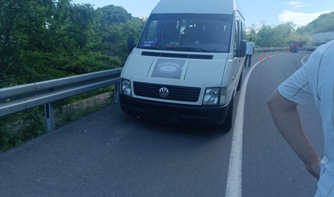 Ordu’nun Ulubey ilçesinde seyir halindeyken kalp krizi geçiren dolmuş şoförü