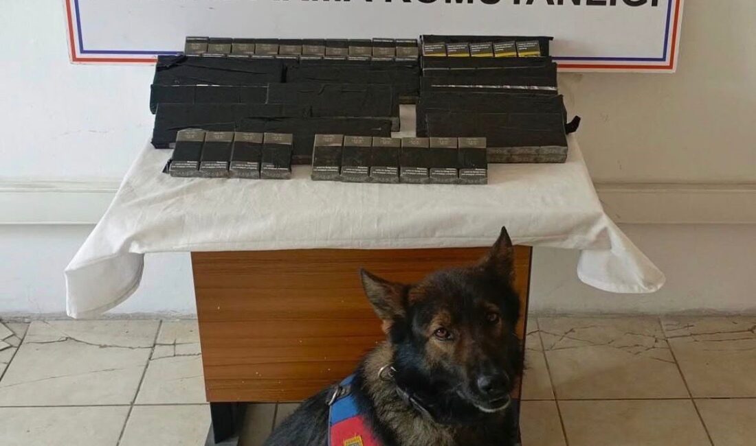 Ağrı’nın Diyadin ilçesinde kaçakçılıkla mücadele kapsamında gerçekleştirilen denetimlerde 180 paket