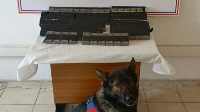Ağrı’nın Diyadin ilçesinde kaçakçılıkla mücadele kapsamında gerçekleştirilen denetimlerde 180 paket