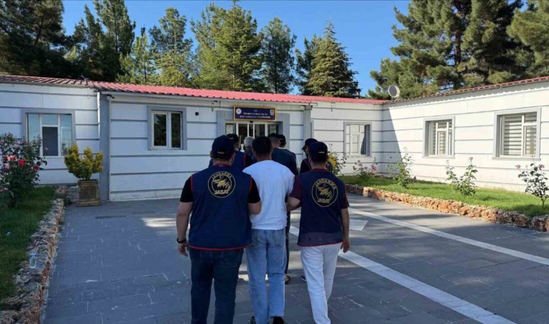 Diyarbakır’da haklarında kesinleşmiş hapis cezası bulunan 24 şahıs jandarma operasyonuyla
