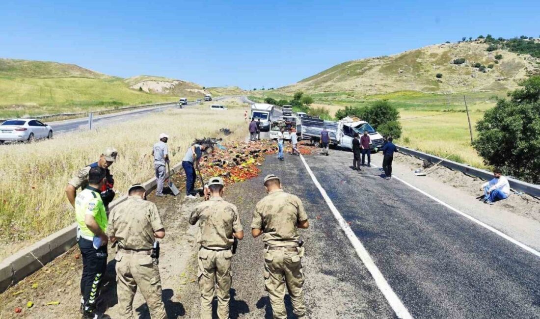 Diyarbakır’ın Silvan ilçesinde meyve ve sebze yüklü kamyonetin seyir halindeyken