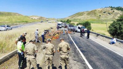 Diyarbakır’ın Silvan ilçesinde meyve ve sebze yüklü kamyonetin seyir halindeyken