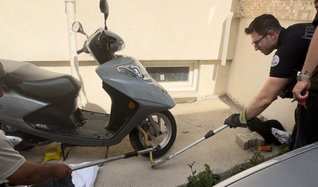 Edirne’de motosiklete giren yılan paniğe sebep oldu. Edirne’nin Meydan Mahallesi’nde