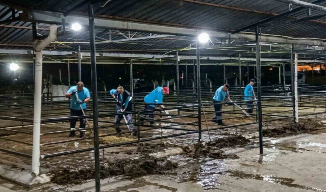 Efeler Belediyesi, Kurban Bayramı süresince ve sonrasında ilçede yürüttüğü geniş
