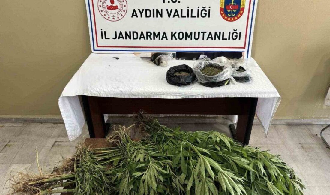 Aydın’ın Efeler ilçesinde düzenlenen operasyonda çok miktarda uyuşturucu ele geçirilirken,