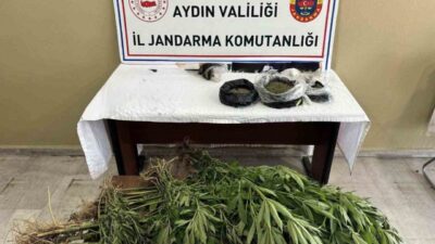 Aydın’ın Efeler ilçesinde düzenlenen operasyonda çok miktarda uyuşturucu ele geçirilirken,