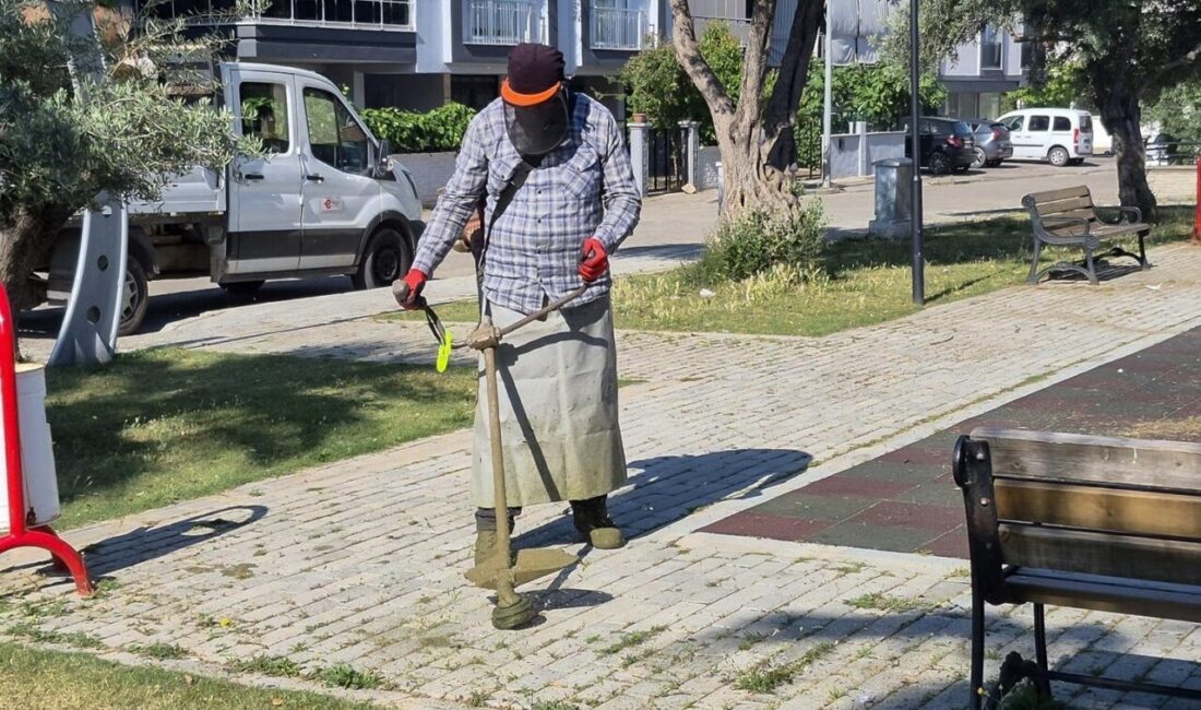 Efeler Belediyesi Park ve Bahçeler Müdürlüğü ekipleri, ilçe genelinde estetik