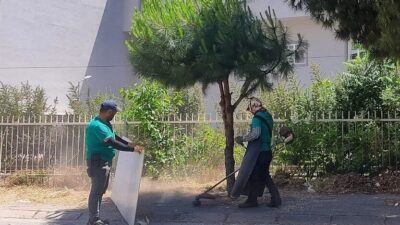 Efeler Belediyesi Park ve Bahçeler Müdürlüğü ekipleri, ilçenin dört bir