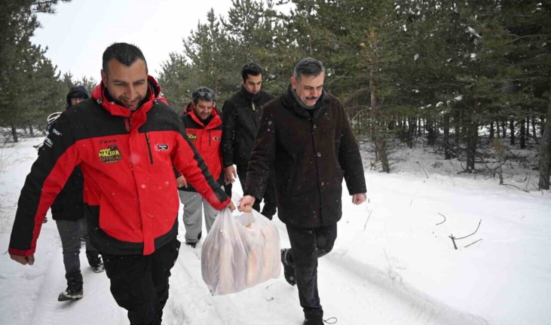 21 Haziran 2026 tarihi itibarıyla Erzurum’un ilçelerinde start alacak olan
