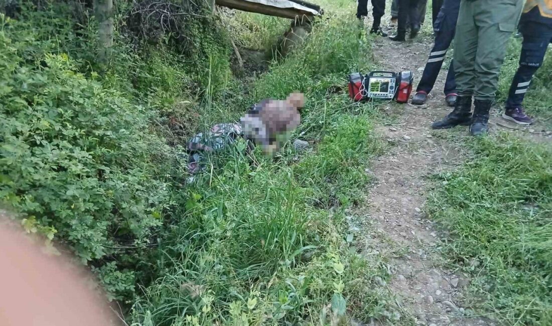 Malatya’nın Hekimhan ilçesinde eşekten düşen yaşlı adam hayatını kaybetti. Olay,