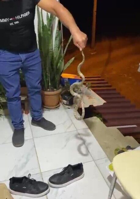 Antalya’nın Kumluca ilçesinde eve girmek üzereyken fark edilen yılanı yakalayan