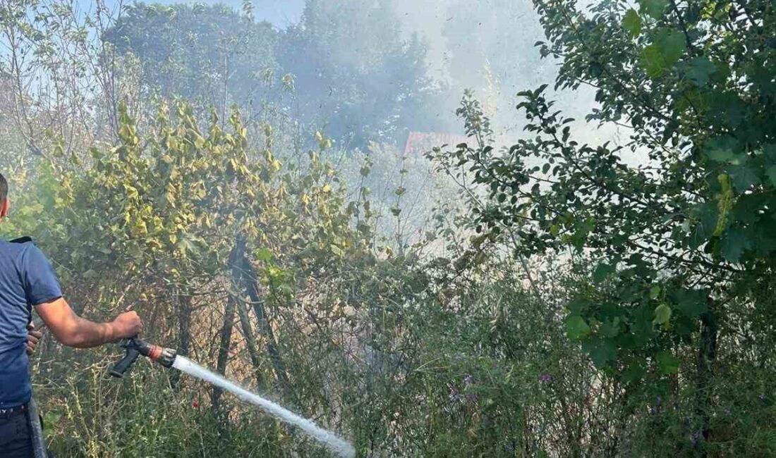 Çanakkale’nin Ezine ilçesinde otluk alanda çıkan yangın, itfaiye ekiplerinin müdahalesiyle