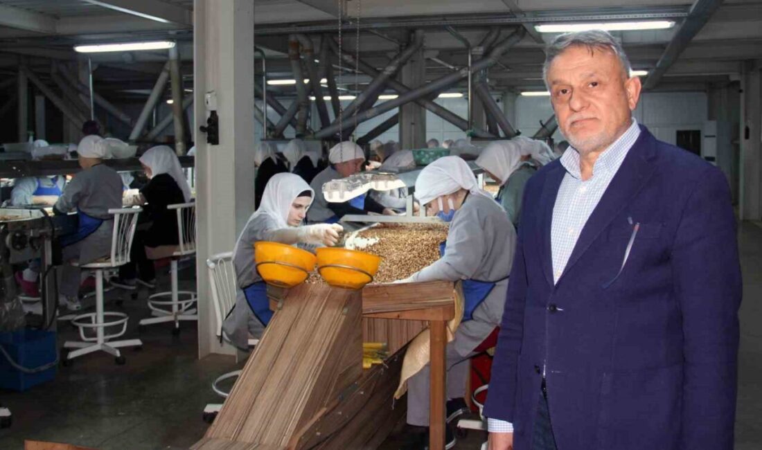 Giresun’da serbest piyasada fındık fiyatları, Kurban Bayramı sonrasında da düşüşünü