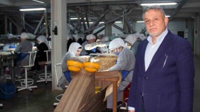 Giresun’da serbest piyasada fındık fiyatları, Kurban Bayramı sonrasında da düşüşünü
