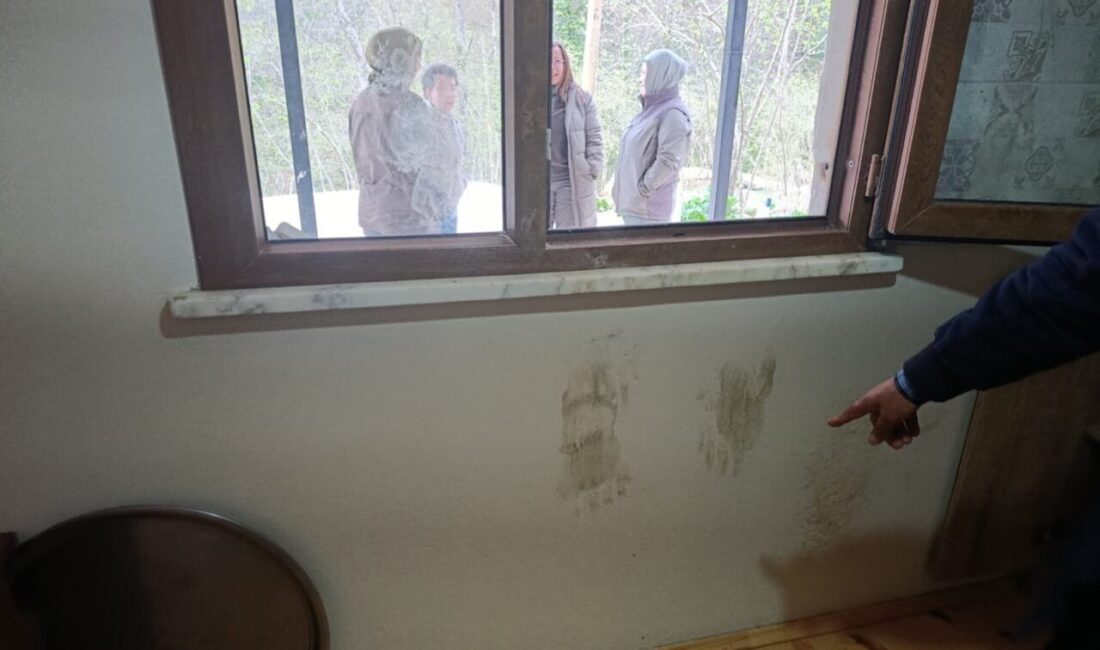 Giresun’da son dönemde yerleşim alanlarında artış gösteren ayı vakaları nedeniyle