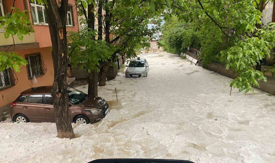 Gümüşhane’de yaklaşık 2 saat etkili olan dolu ve sağanak yağış