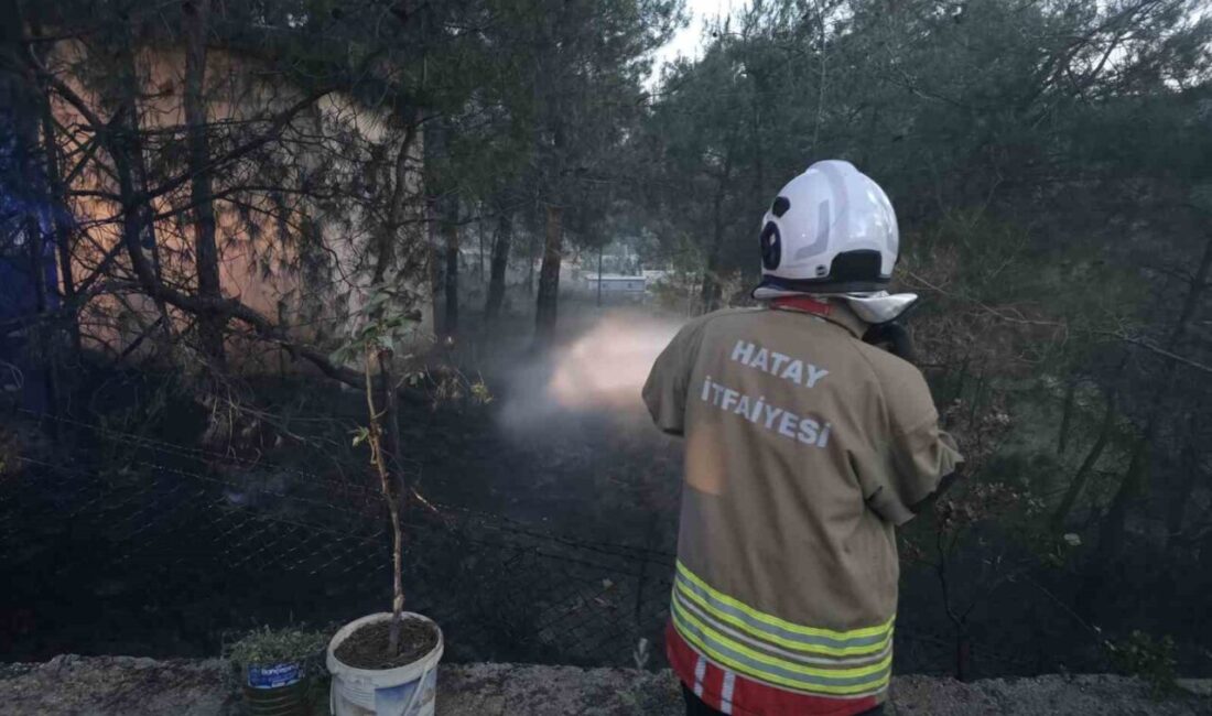 Hatay’ın Hassa ilçesinde çamlık alanda çıkan yangın, itfaiye ekiplerinin hızlı
