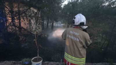 Hatay’ın Hassa ilçesinde çamlık alanda çıkan yangın, itfaiye ekiplerinin hızlı