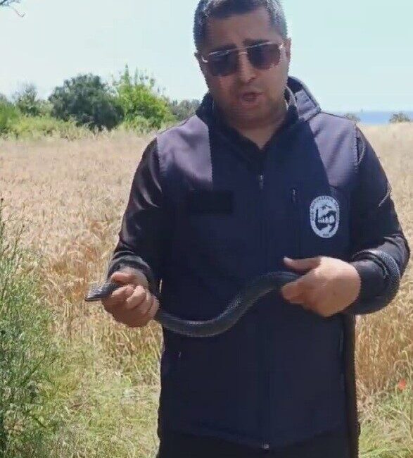 Hatay’da ‘Yılancı Kemal’ olarak tanınan Kemal Başer, yaşlı teyzenin evine