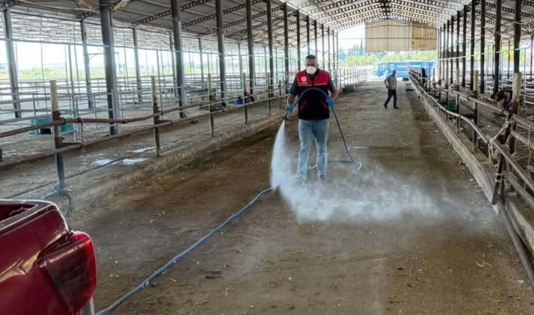 Havran İlçe Tarım ve Orman Müdürlüğü ekipleri, Kurban Bayramı sonrasındaki