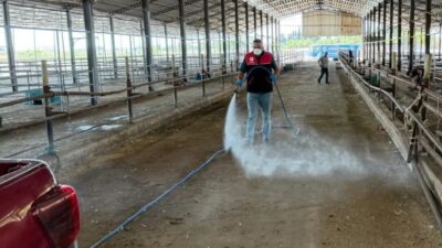 Havran İlçe Tarım ve Orman Müdürlüğü ekipleri, Kurban Bayramı sonrasındaki