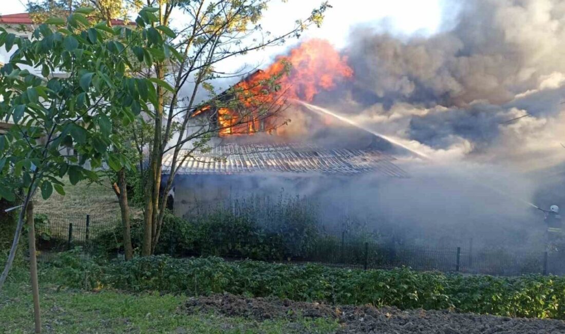 Samsun’un Havza ilçesinde müstakil ev, çıkan yangında hasar gördü. Yangın,