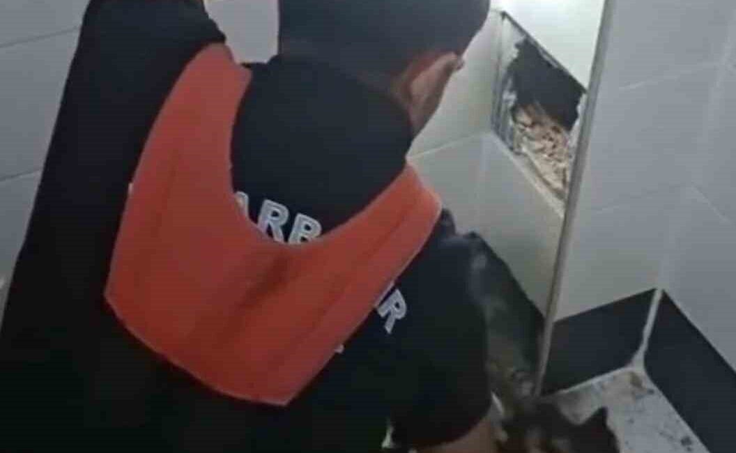 Diyarbakır’ın Kayapınar ilçesinde havalandırma boşluğunda mahsur kalan kedi itfaiye erlerince