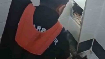 Diyarbakır’ın Kayapınar ilçesinde havalandırma boşluğunda mahsur kalan kedi itfaiye erlerince