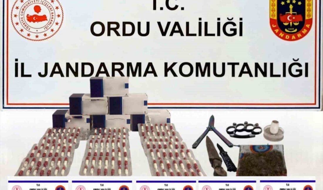 Ordu İl Jandarma Komutanlığınca uyuşturucu ve uyarıcı madde ticaretine yönelik