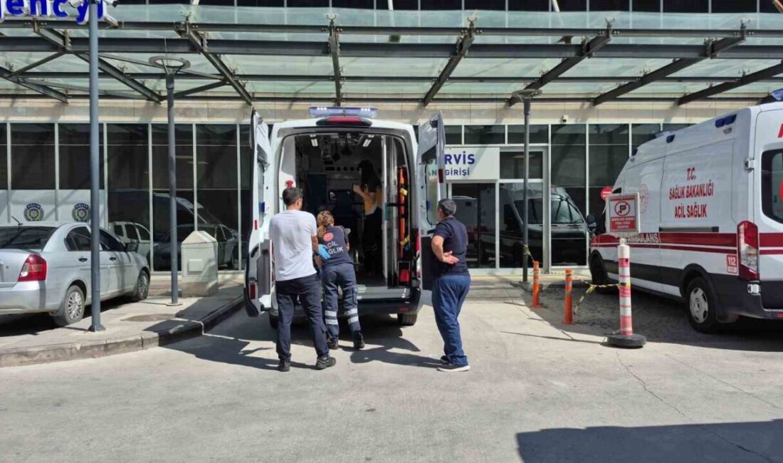 Muğla’nın Bodrum ilçesinde iki aracın çarpıştığı trafik kazasında 7 kişi