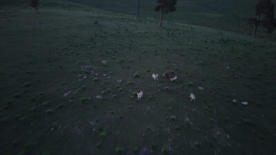Kars’ta bir grup köpeğin saldırısına uğrayan boz ayının hayatta kalma