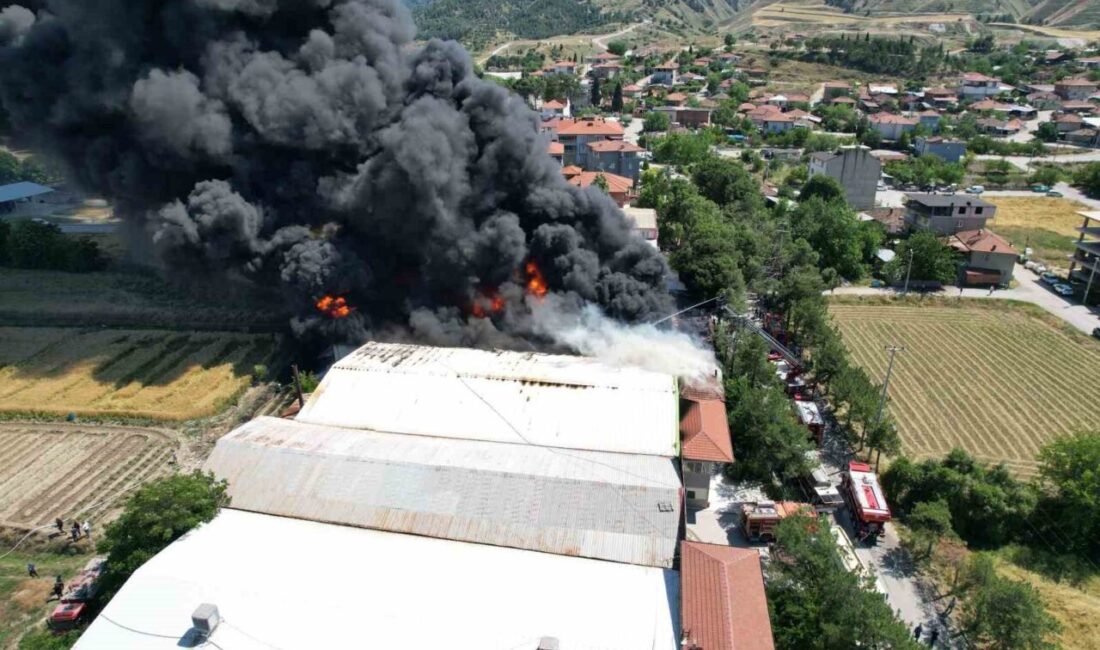 Denizli’nin Pamukkale ilçesinde faaliyet gösteren bir kauçuk fabrikasında çıkan yangına