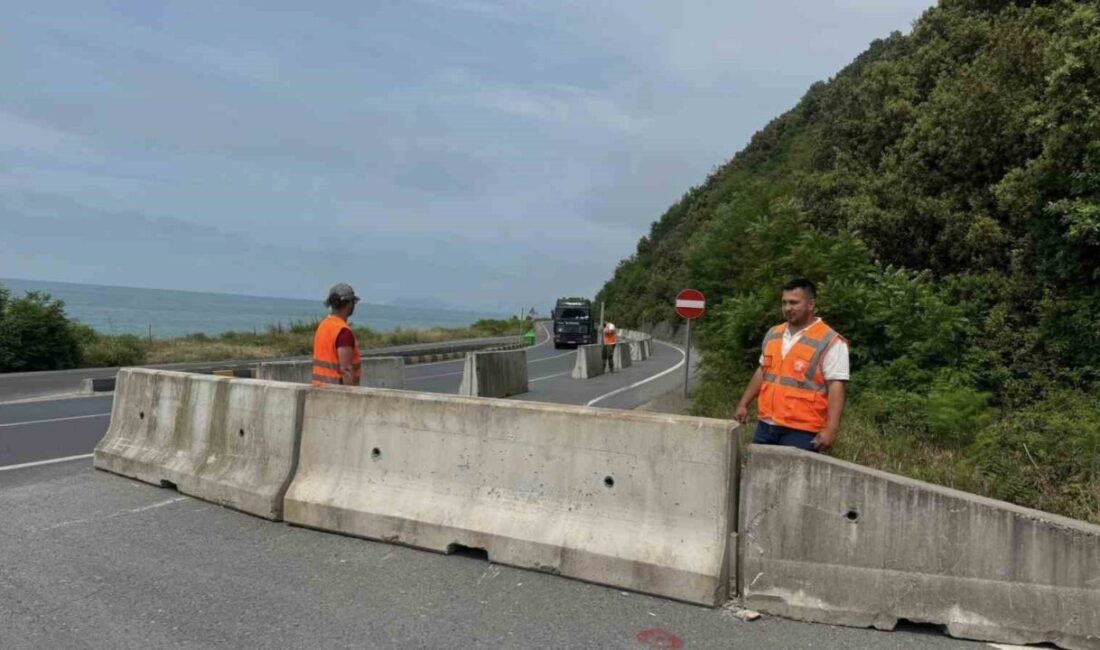 Zonguldak’ın Alaplı ilçesinde sık sık trafik kazalarıyla gündeme gelen ve