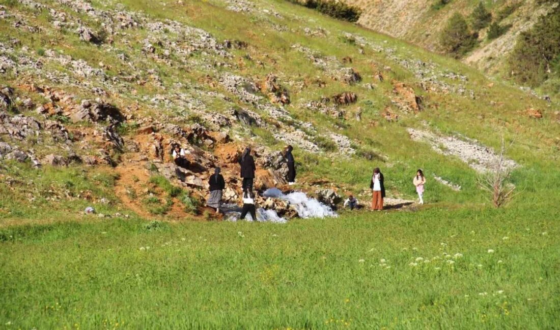 KAHRAMANMARAŞ (İHA) – Kahramanmaraş’ın Göksun ilçesinde kayaların arasından fışkırarak çıkan