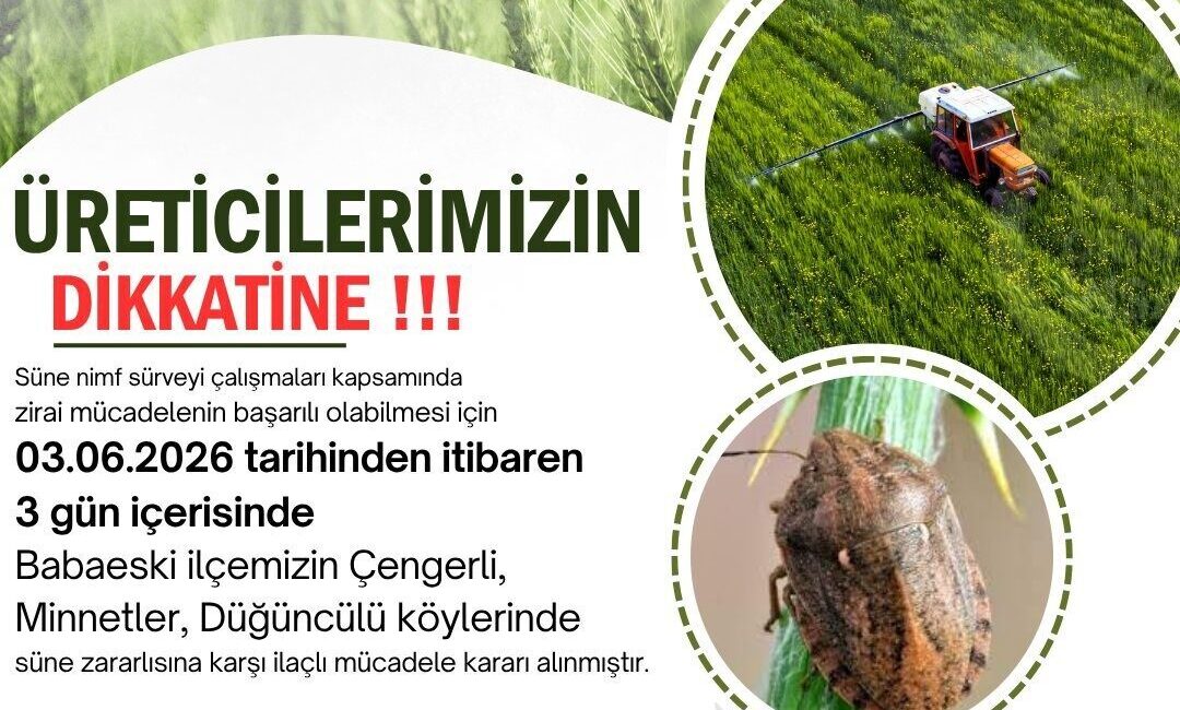 Kırklareli İl Tarım ve Orman Müdürlüğü, süne nimf sürveyi çalışmaları