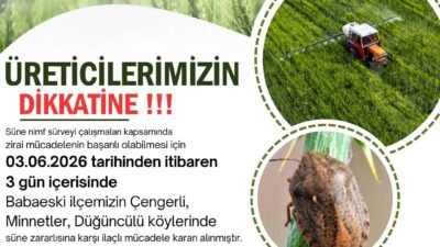 Kırklareli İl Tarım ve Orman Müdürlüğü, süne nimf sürveyi çalışmaları