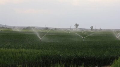 Tarımın başkenti Konya’da geçen yıla göre yer altı su kaynaklarının