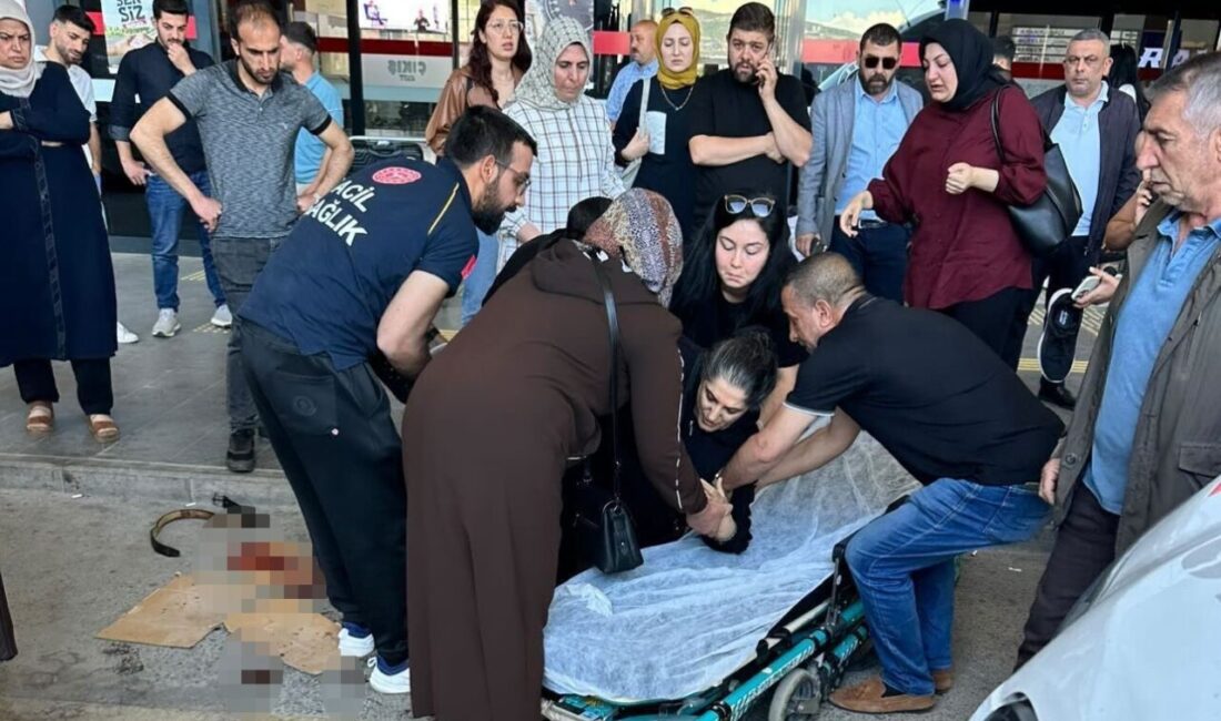Elazığ’da köpeğin saldırması sonucu yaralanan kadın, hastaneye kaldırılarak tedavi altına