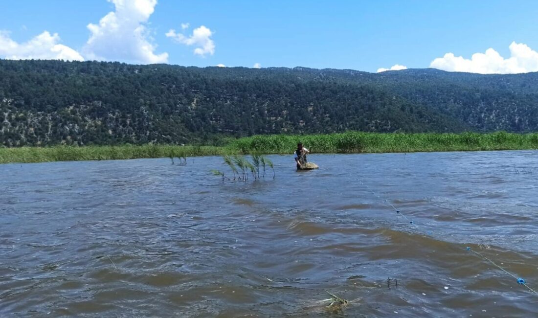 Isparta’nın Eğirdir ilçesindeki Kovada Gölü’nde yapılan dron destekli denetimlerde, yasa