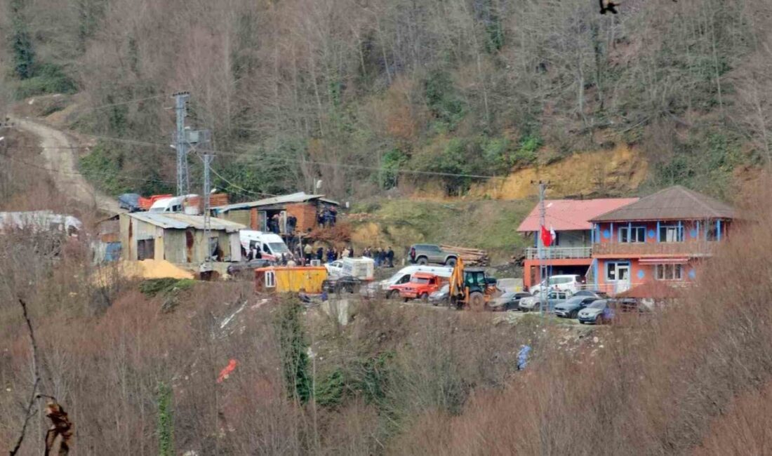 Zonguldak’ta 2 işçinin hayatını kaybettiği maden göçüğüne ilişkin davada tutuklu