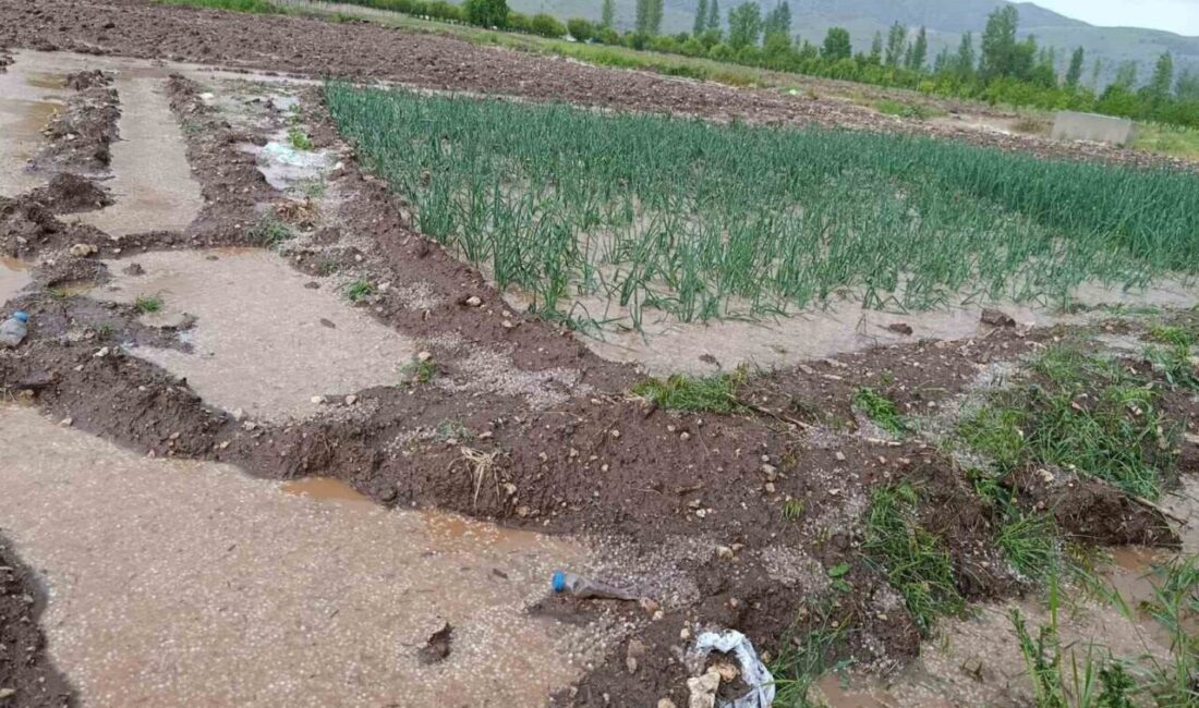 Malatya’da etkili olan sağanak ve dolu yağışı hayatı olumsuz etkilerken,